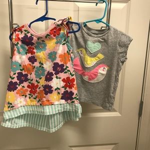 Hanna tunic and Carters shirt